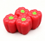 #364 【peppers】