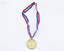 【 Pretend Gold Medal Award from Team USA Medal Ceremony Set for 18" Doll】