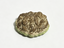 【 Kalua meat from Na nea's Luau set for 18'' doll food】