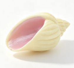 #221 【Conch Shell】 Main image