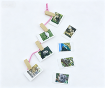 #448 【 8-Piece Wildlife Photos & Photo Hanger Set Comfy Platform Tent】 Main image